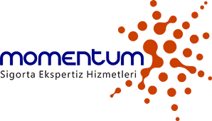 Momentum Eksperlik